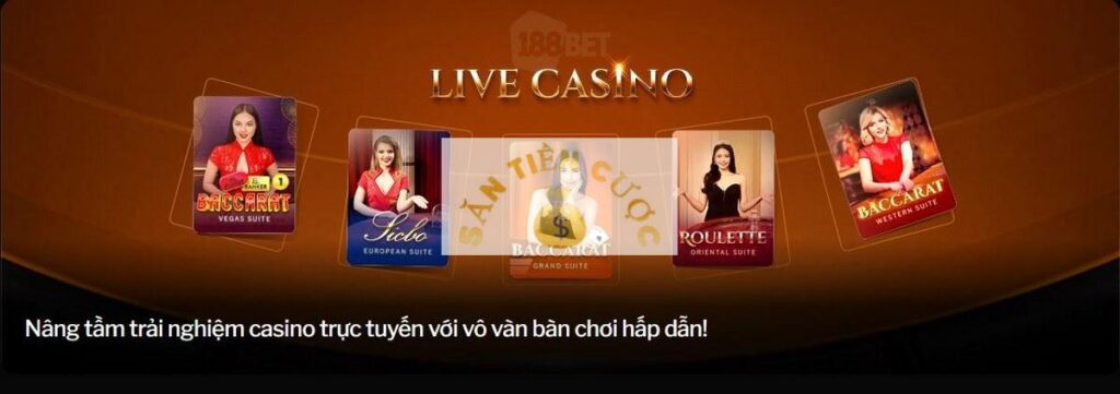 Live casino sôi động tại trang cá cược